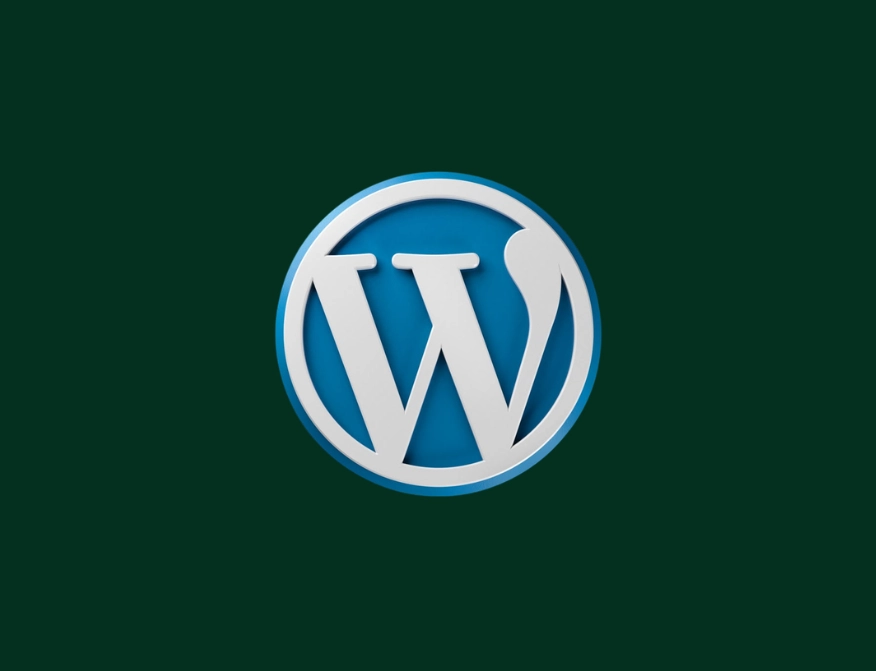 best freelance web developer in malappuram wordpress