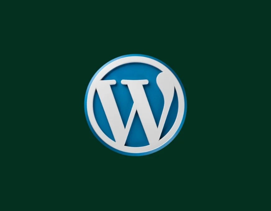 best freelance digital marketer in malappuram wordpress (1)